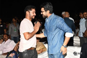 Naa Peru Surya Naa Illu India Pre Release Event Photos